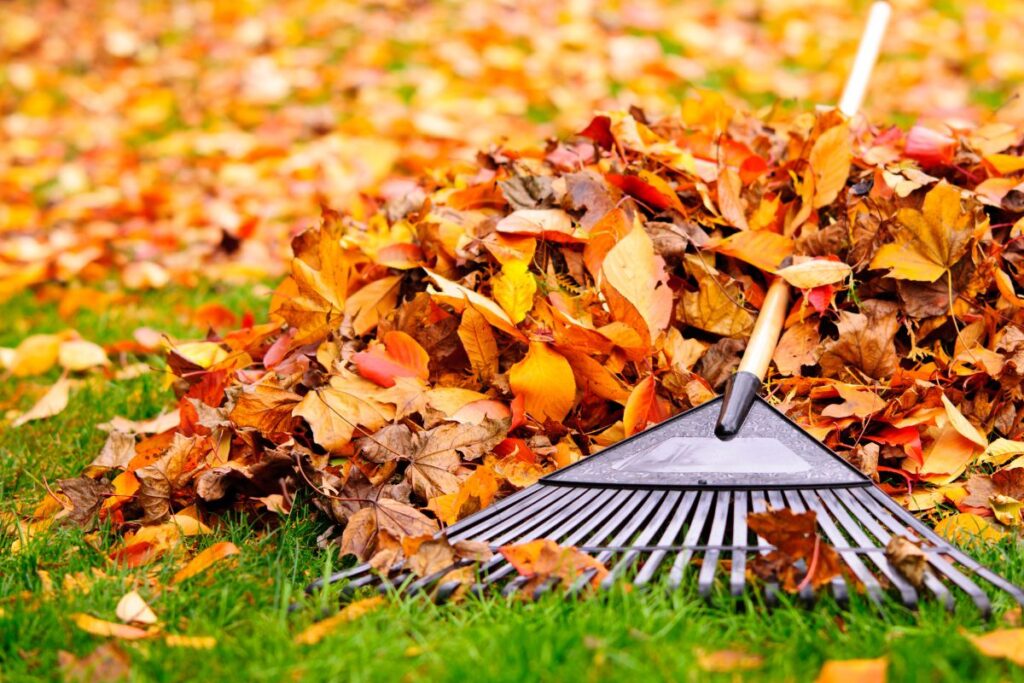Treat Yourself to Wellness: Creating the Perfect Fall Self-Care Night