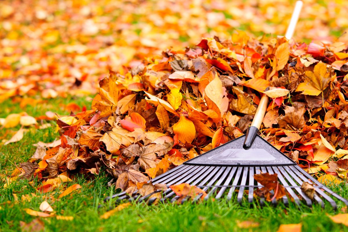 Treat Yourself to Wellness: Creating the Perfect Fall Self-Care Night